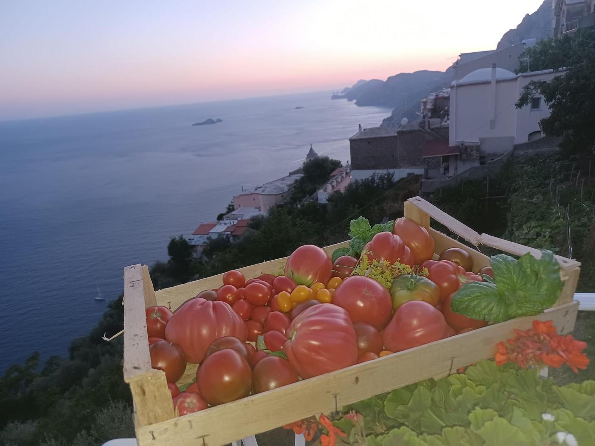 Villa Antica Macina Positano Luaran gambar