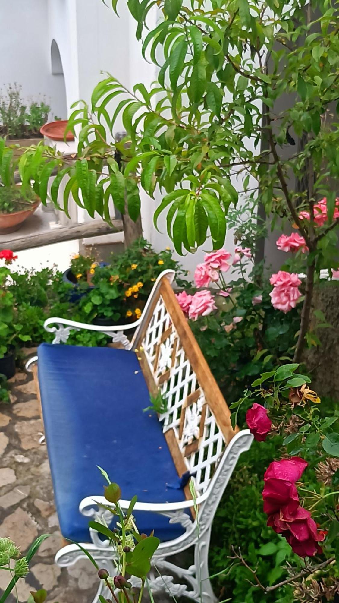 Villa Antica Macina Positano Luaran gambar