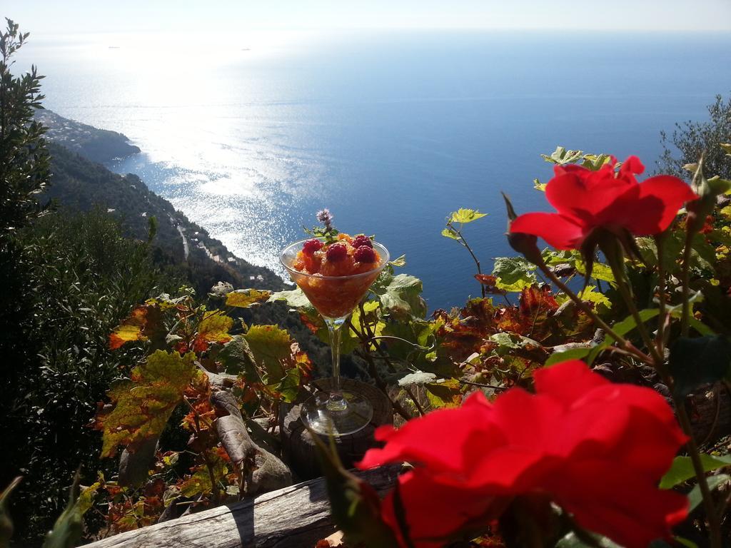 Villa Antica Macina Positano Luaran gambar